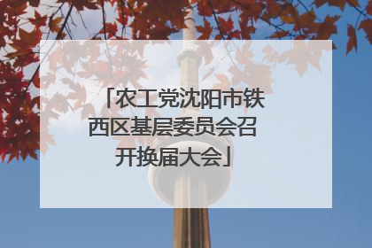 农工党沈阳市铁西区基层委员会召开换届大会