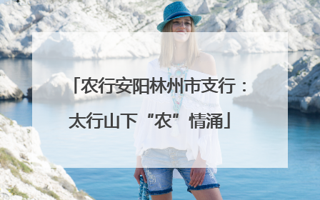 农行安阳林州市支行：太行山下“农”情涌