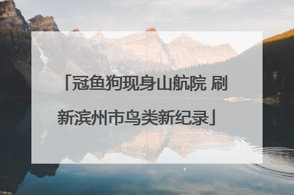 冠鱼狗现身山航院 刷新滨州市鸟类新纪录
