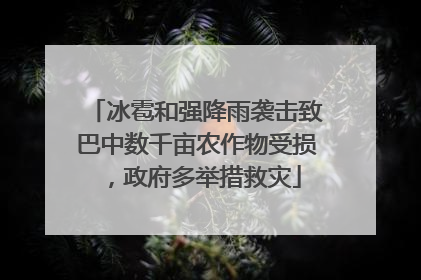 冰雹和强降雨袭击致巴中数千亩农作物受损，政府多举措救灾