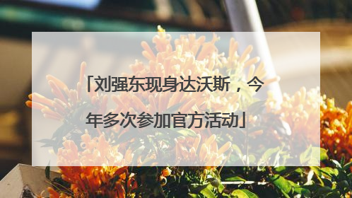 刘强东现身达沃斯，今年多次参加官方活动