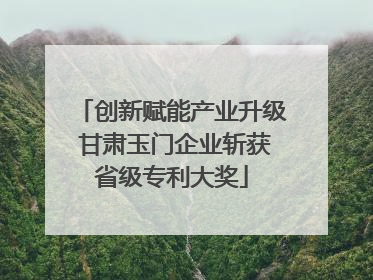 创新赋能产业升级 甘肃玉门企业斩获省级专利大奖
