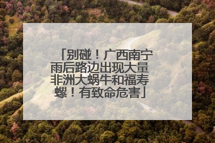 别碰！广西南宁雨后路边出现大量非洲大蜗牛和福寿螺！有致命危害