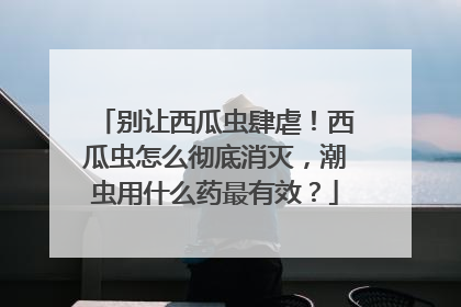 别让西瓜虫肆虐！西瓜虫怎么彻底消灭，潮虫用什么药最有效？