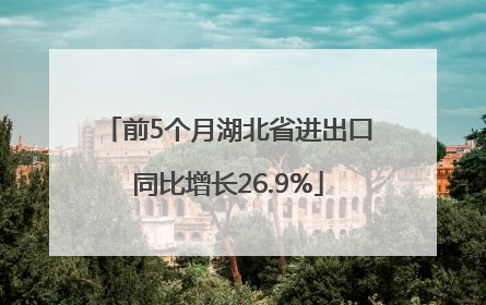 前5个月湖北省进出口同比增长26.9%