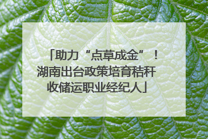助力“点草成金”！湖南出台政策培育秸秆收储运职业经纪人