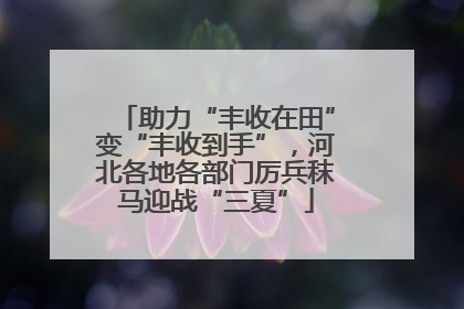 助力“丰收在田”变“丰收到手”，河北各地各部门厉兵秣马迎战“三夏”