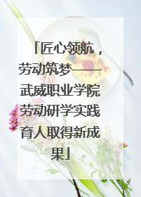匠心领航，劳动筑梦——武威职业学院劳动研学实践育人取得新成果
