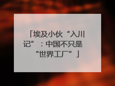 埃及小伙“入川记”：中国不只是“世界工厂”