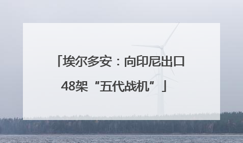 埃尔多安：向印尼出口48架“五代战机”