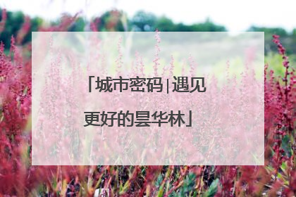 城市密码∣遇见更好的昙华林