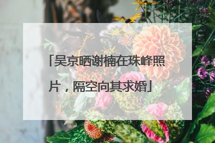吴京晒谢楠在珠峰照片，隔空向其求婚
