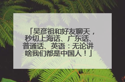 吴彦祖和好友聊天，秒切上海话、广东话、普通话、英语：无论讲啥我们都是中国人！