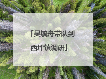 吴毓舟带队到西坪镇调研