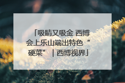 吸睛又吸金 西博会上乐山端出特色“硬菜”｜西博视界