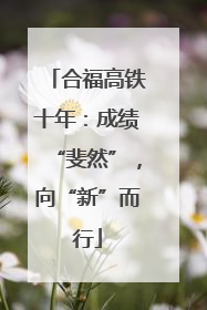 合福高铁十年：成绩“斐然”，向“新”而行