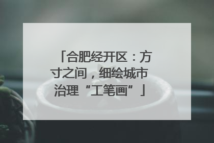 合肥经开区：方寸之间，细绘城市治理“工笔画”