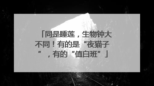 同是睡莲，生物钟大不同！有的是“夜猫子”，有的“值白班”