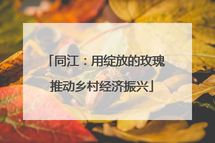 同江：用绽放的玫瑰 推动乡村经济振兴