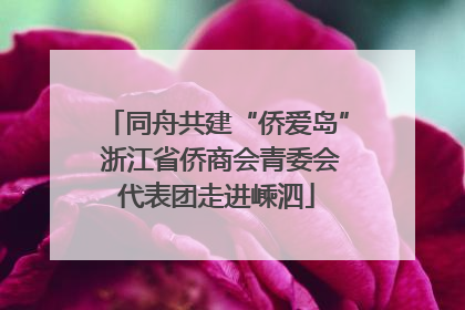 同舟共建“侨爱岛” 浙江省侨商会青委会代表团走进嵊泗