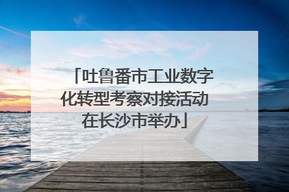 吐鲁番市工业数字化转型考察对接活动在长沙市举办