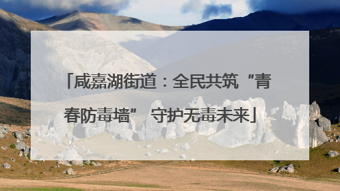 咸嘉湖街道：全民共筑“青春防毒墙” 守护无毒未来