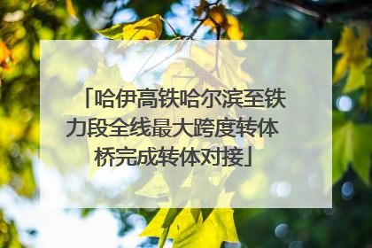 哈伊高铁哈尔滨至铁力段全线最大跨度转体桥完成转体对接