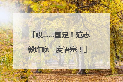 哎……国足！范志毅昨晚一度语塞！