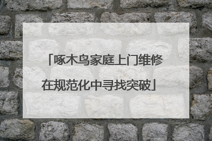 啄木鸟家庭上门维修在规范化中寻找突破