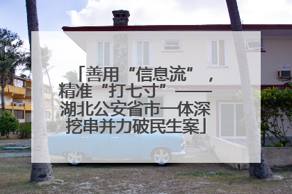 善用“信息流”，精准“打七寸”——湖北公安省市一体深挖串并力破民生案