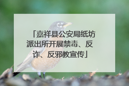 嘉祥县公安局纸坊派出所开展禁毒、反诈、反邪教宣传