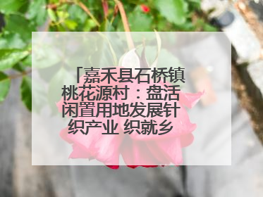 嘉禾县石桥镇桃花源村：盘活闲置用地发展针织产业 织就乡村振兴新图景