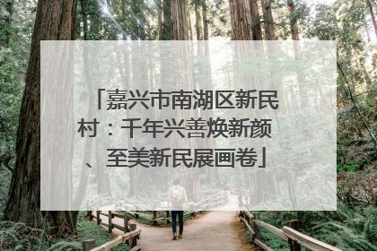 嘉兴市南湖区新民村：千年兴善焕新颜、至美新民展画卷