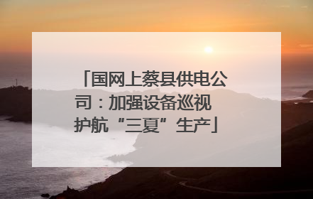 国网上蔡县供电公司：加强设备巡视 护航“三夏”生产
