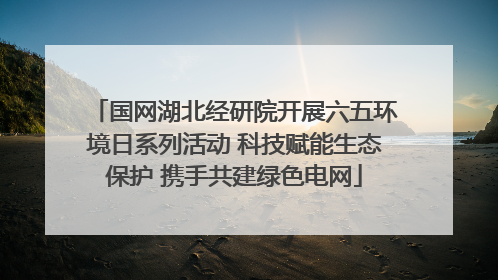 国网湖北经研院开展六五环境日系列活动 科技赋能生态保护 携手共建绿色电网