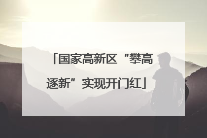 国家高新区“攀高逐新”实现开门红