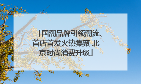 国潮品牌引领潮流、首店首发火热集聚 北京时尚消费升级