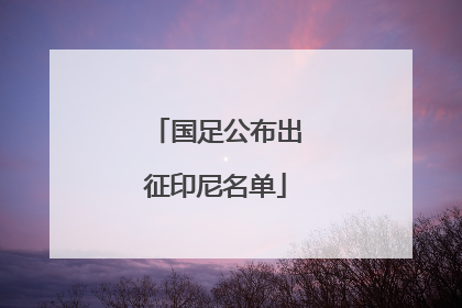 国足公布出征印尼名单