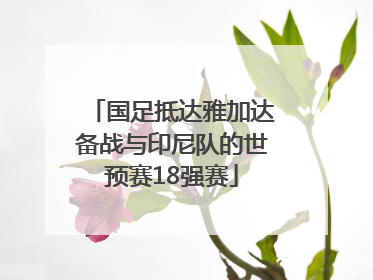 国足抵达雅加达备战与印尼队的世预赛18强赛