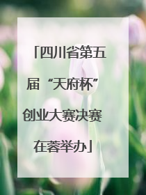 四川省第五届“天府杯”创业大赛决赛在蓉举办