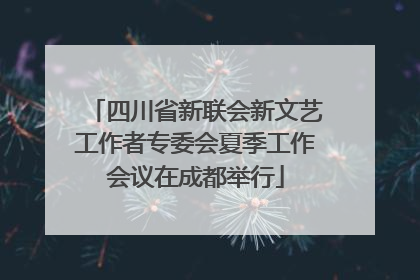 四川省新联会新文艺工作者专委会夏季工作会议在成都举行