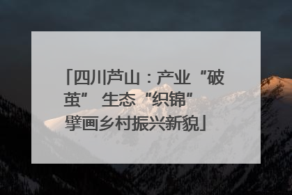 四川芦山：产业“破茧” 生态“织锦” 擘画乡村振兴新貌