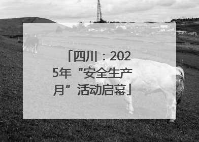 四川：2025年“安全生产月”活动启幕