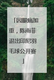 因腿痛加重，陈雨菲退出印尼羽毛球公开赛
