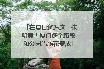 在夏日邂逅这一抹明黄！厦门多个路段和公园腊肠花盛放