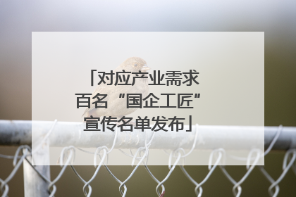 对应产业需求 百名“国企工匠”宣传名单发布