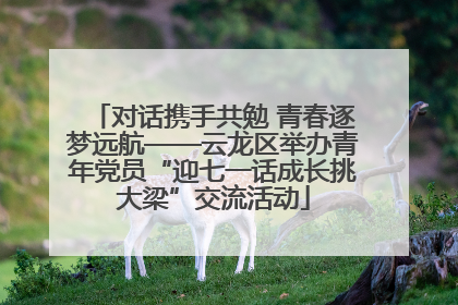 对话携手共勉 青春逐梦远航——云龙区举办青年党员“迎七一话成长挑大梁”交流活动