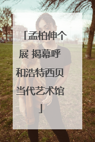 孟柏伸个展 揭幕呼和浩特西贝当代艺术馆