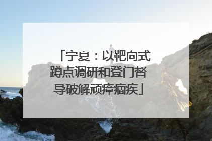 宁夏：以靶向式蹲点调研和登门督导破解顽瘴痼疾