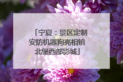 宁夏：景区定制安防机器狗亮相镇北堡西部影城